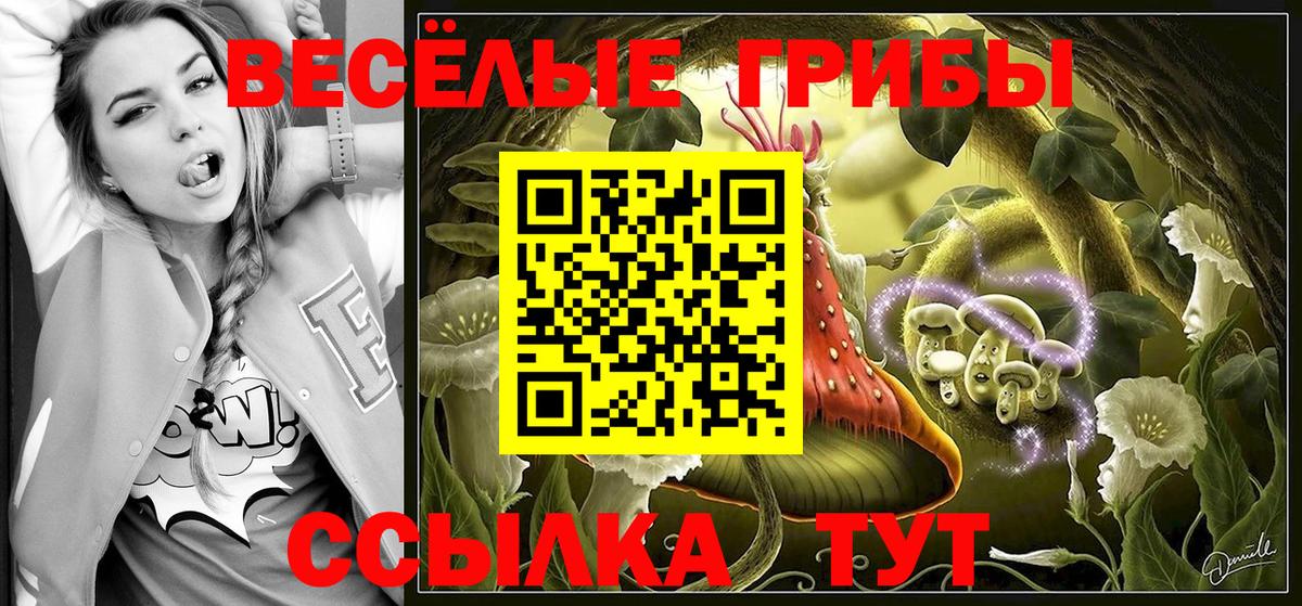 Галлюциногенные грибы мухоморы Котовск