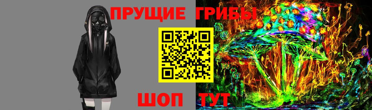Галлюциногенные грибы MAGIC MUSHROOMS  как найти наркотики  Котовск  Вход с VPN  Галлюциногенные грибы Psilocybine cubensis 